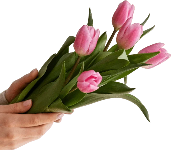 Гарантия качества — фото